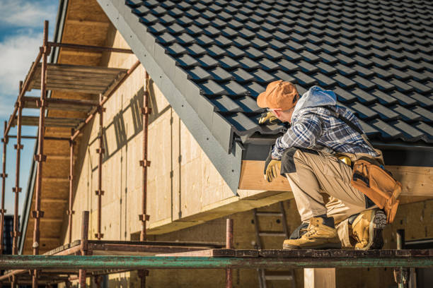 Best Roof Gutter Cleaning  in Duncanville, TX